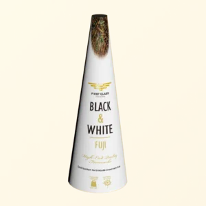 Fuji Kegle Fontæne [147]