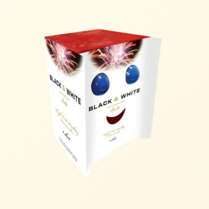 Smiley Face fontæne [48]